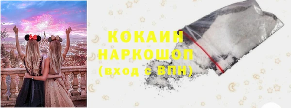 амф Алексин