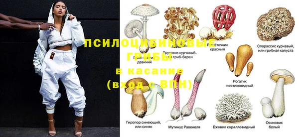 герыч Алексеевка